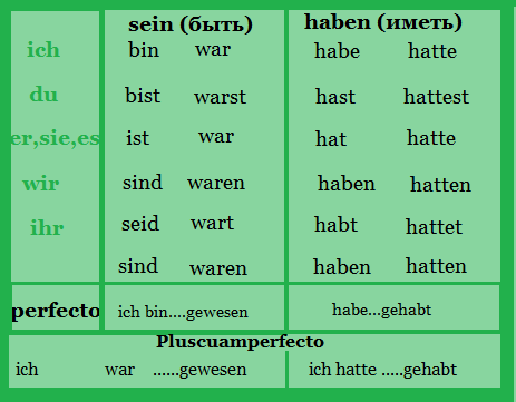 Haben asiaten einen kleinen